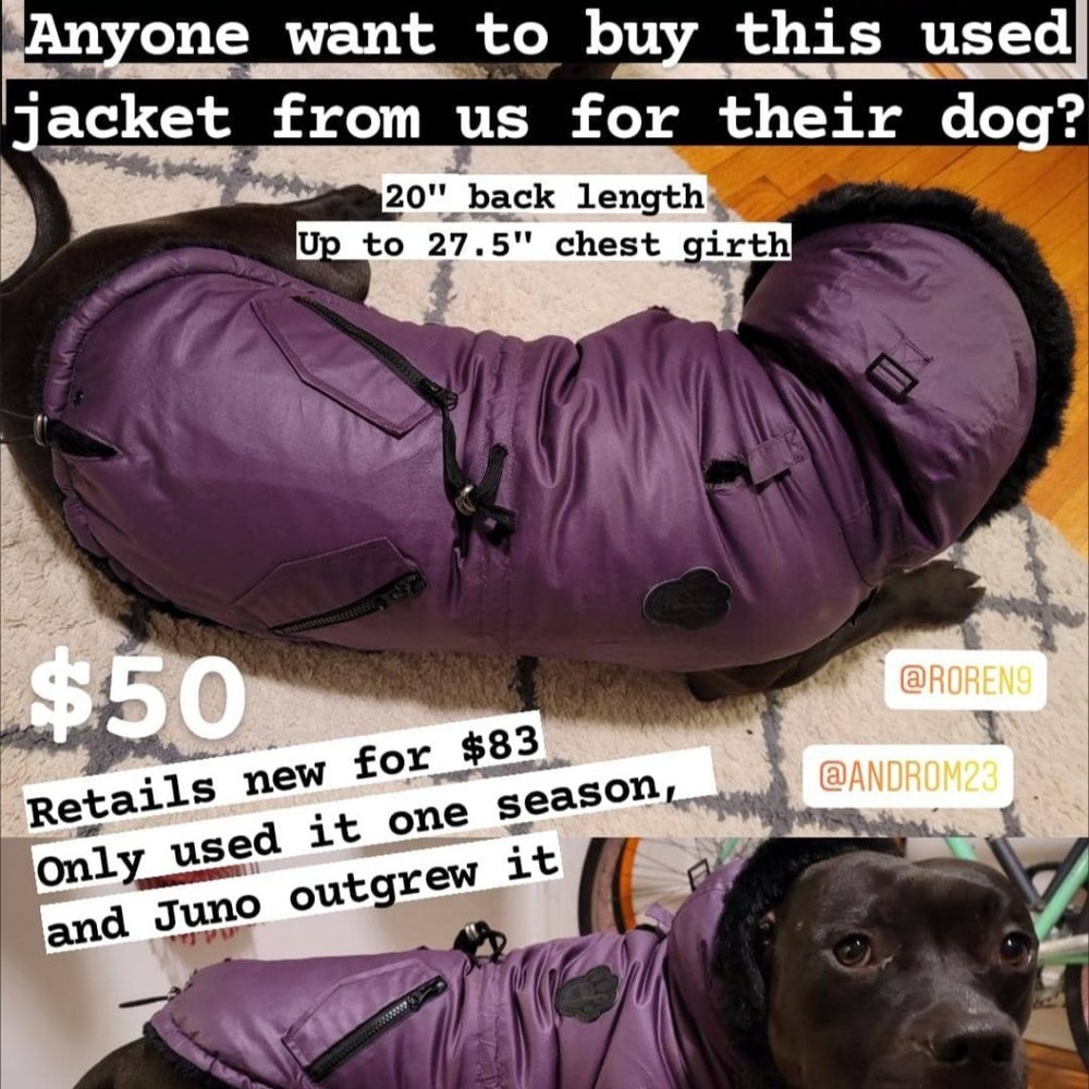 Canada Pooch Urban Wax Parka